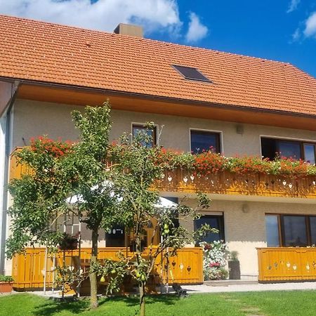 Apartma Ana In Manca Begunje na Gorenjskem Exterior foto