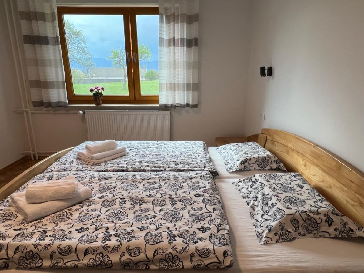 Apartma Ana In Manca Begunje na Gorenjskem Exterior foto